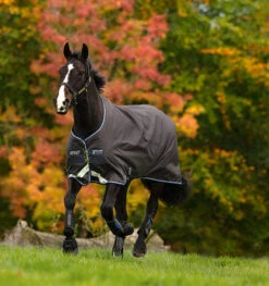 Amigo Bravo 12 Lite (0g)