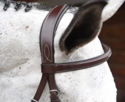 Equestrian Products Store -Equestrian Products Store DSC 4924