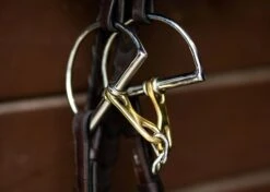 ProSeries Derby Bit - D Ring -Equestrian Products Store EHI TIEC finals 2 fc875200 cc3b 44c5 b1b8 09b2f5237457 jpg