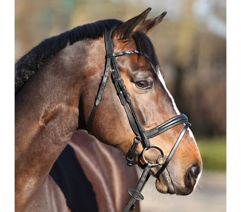 Kavalkade Ivette Dressage Bridle 4 Kavalkade Ivette Dressage Bridle - Image 2