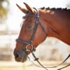 Kavalkade Ivy Plus Bridle -Equestrian Products Store KavalkadeIvyPlusBridle