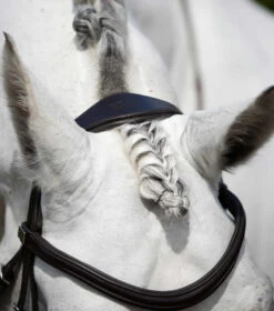 Premier Equine Rizzo Anatomic Snaffle Bridle With Flash -Equestrian Products Store PERizzocrownpiecebrown