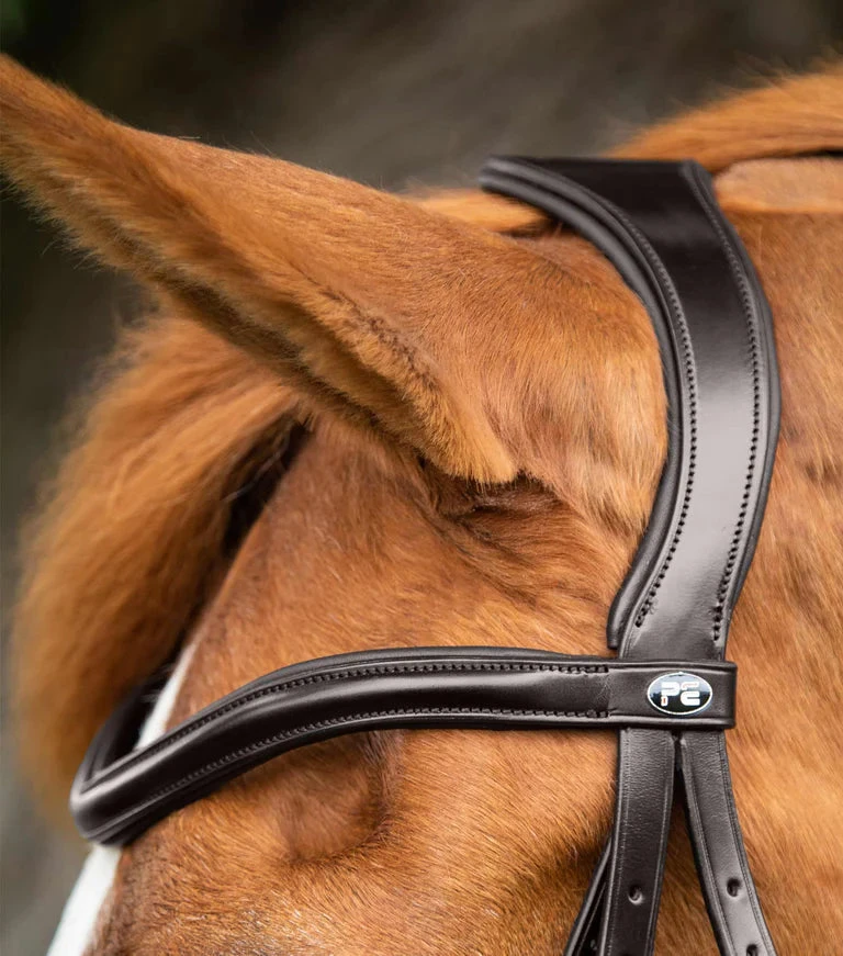 Premier Equine Glorioso Grackle Bridle 5 Premier Equine Glorioso Grackle Bridle - Image 3