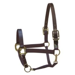 Perri's Safety Halter -Equestrian Products Store Perri sSafetyHalternavy