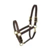 Perri's 1" Havana Turnout Halter -Equestrian Products Store Perri sTurnoutHalter