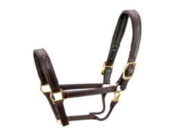 Walsh Signature Padded Halter