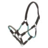 Kavalkade Rope Halter Set 1 Kavalkade Rope Halter Set -Equestrian Products Store kav