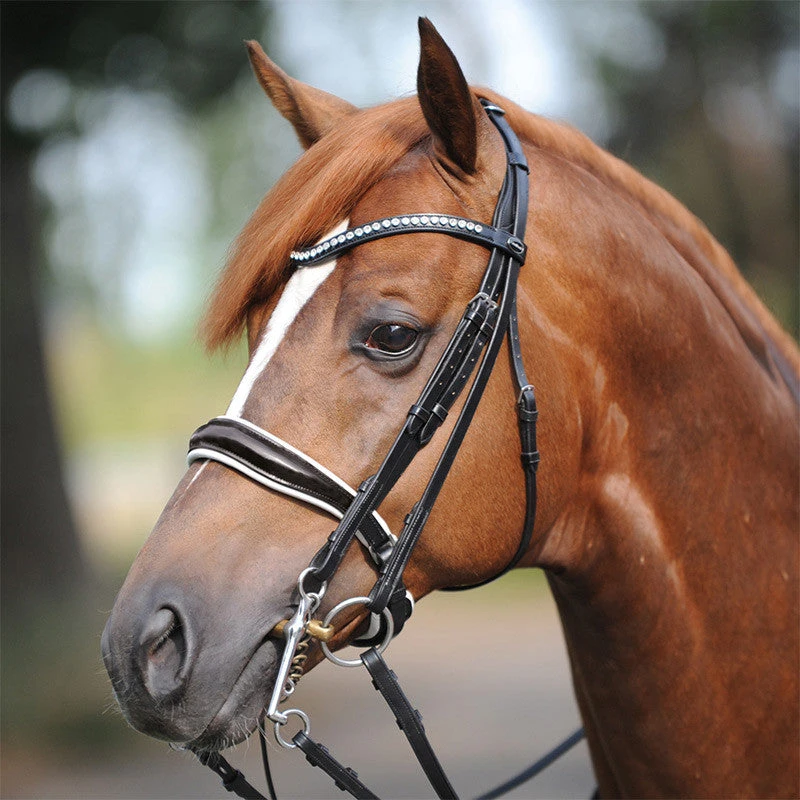 Kavalkade Weymouth "Antonia" Dressage Double Bridle 3 Kavalkade Weymouth "Antonia" Dressage Double Bridle