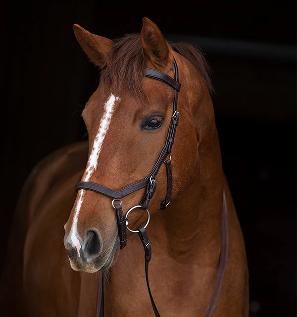 Horseware Ireland Rambo® Micklem® Original Competition Bridle 3 Horseware Ireland Rambo® Micklem® Original Competition Bridle