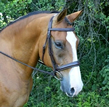 Red Barn Ocala Hunter Bridle 3 Red Barn Ocala Hunter Bridle