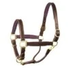 Perri's 1" Leather Padded Halter 1 Perri's 1" Leather Padded Halter -Equestrian Products Store perrispadded