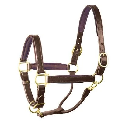 Perri's 1" Leather Padded Halter 3 Perri's 1" Leather Padded Halter