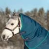 Rhino Turnout Hood 1 Rhino Turnout Hood -Equestrian Products Store rhino hood lite 0g 600x640 1