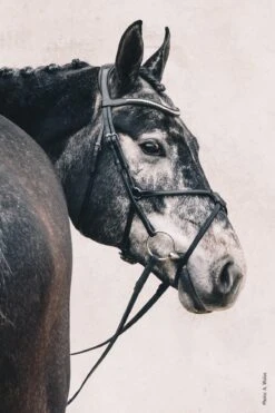 Schockemohle Rio Select Anatomical Bridle 9 Schockemohle Rio Select Anatomical Bridle -Equestrian Products Store scho2