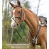 Shires 5-Point Padded Breastplate 2 Shires 5-Point Padded Breastplate -Equestrian Products Store shires