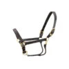 Walsh Kentucky Triple Stitched Leather Halter -Equestrian Products Store walshkentucky