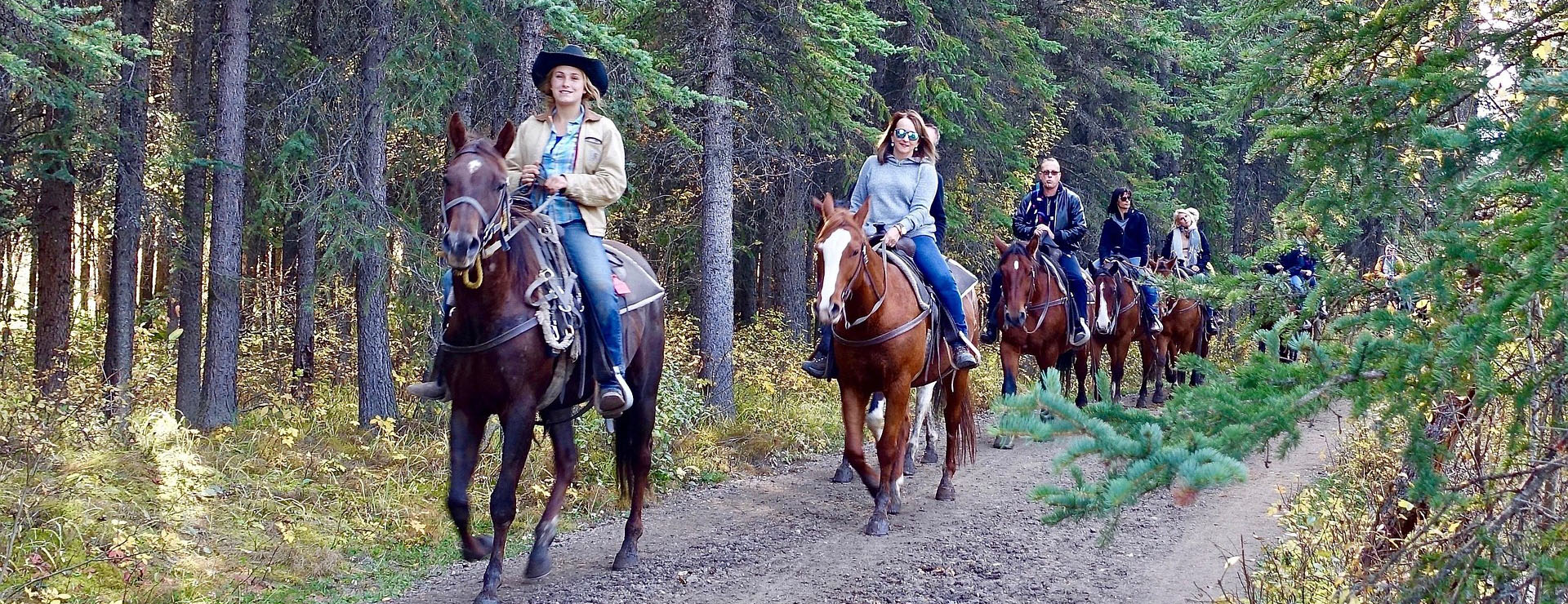 Equestrian Products Store 2 Equestrian Products Store -Equestrian Products Store riding 1935051 1920